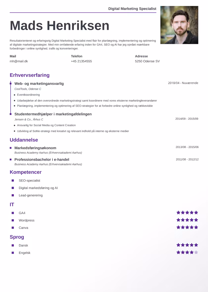 classic cv eksempel