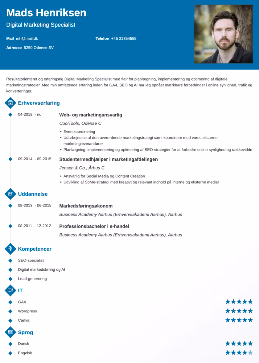 diamond cv eksempel