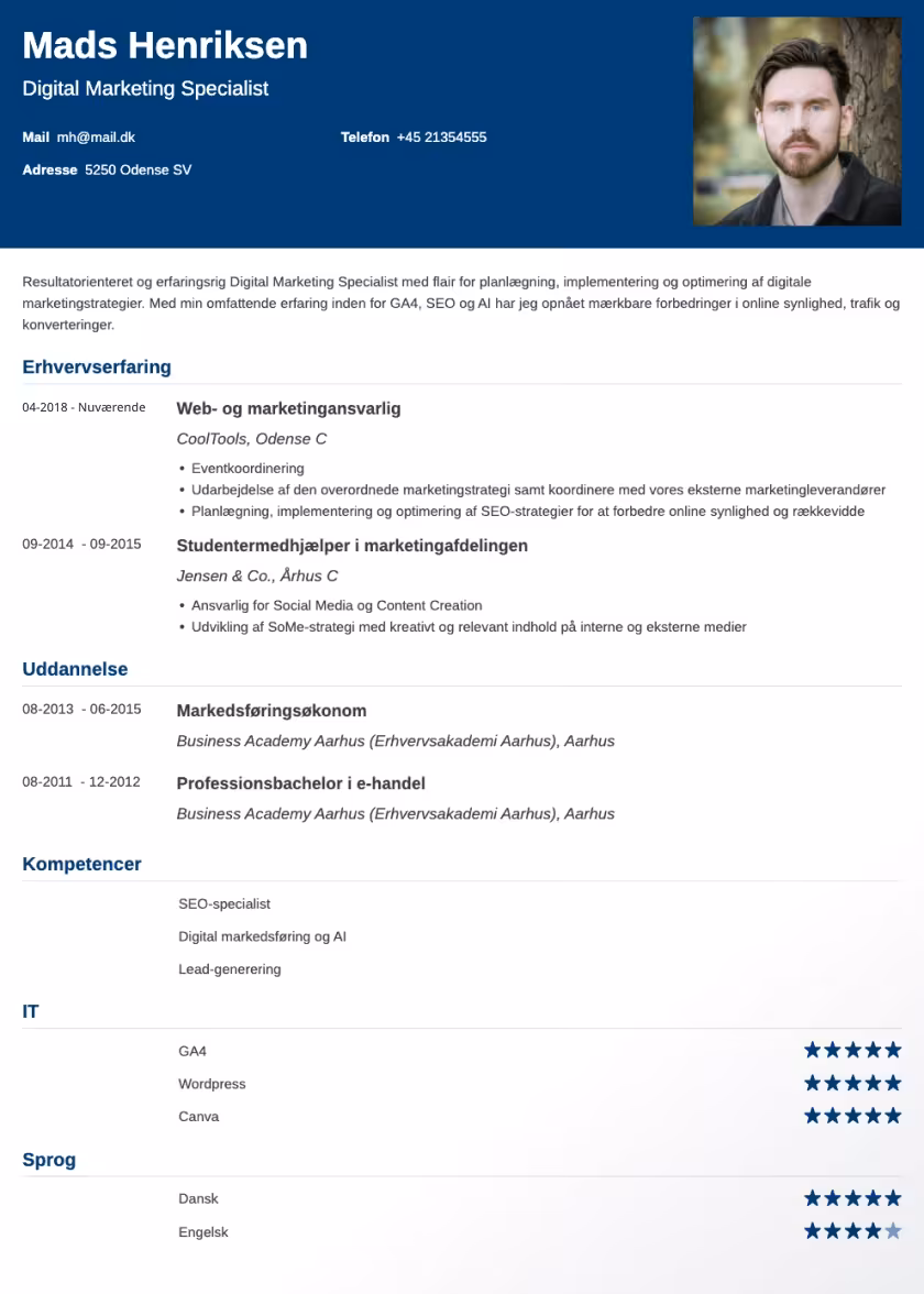 influx cv eksempel
